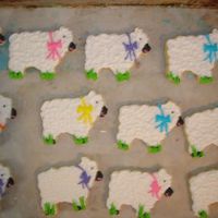 Easter Sheep easter sheep
