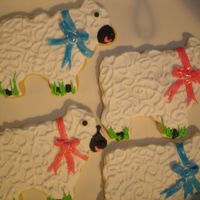 Sheep ri sheep with mmf bows