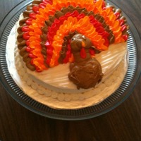 Turkey Cake there is a video on youtube that shows how to make this cake. Easy and fun!