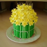 Springtime Made this for my mum as it was mothers day recently here in the UK. It's fruitcake covered with marzipan, fondant, and sugardough...