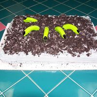 Halloween One cake was a classic white and another was the durable chocolate cake recipe. since I didn't carve I added some milk for moisture....