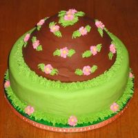 Side View Over The Hill Cake Chocolate pound cake w/ vanilla & chocolate buttercream. I created this "pretty" hill, I thought the recipient would WANT to...