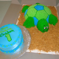 1St Birthday Turtle 