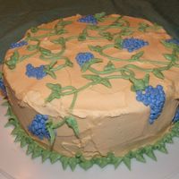 Second Cake my second cake from the wilton class course #1