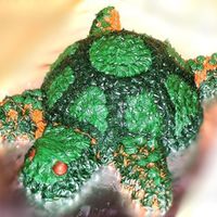 Turtle Fun Birthday Cake Turtle Birthday Cake made with sports ball pan and buttercream details. Super easy qnd quick to create.