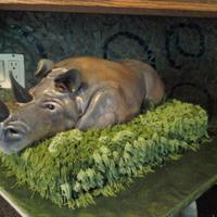 Mr. Rhino Made this for my cousin who loves rhinos:) The rhino cake was red velvet so when we cut into it... well you get the idea :D