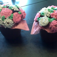 Pink And Brown Cupcakes 