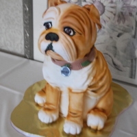 Bulldog Groom's Cake Carved out of cake, covered in white fondant and then airbrushed.