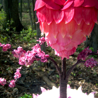 Redbud, Rose And Fushia Petal Cake Topper This was the topper for a cake I did for a local competition. The topper was my favorite part of the cake. The theme was "A Taste of...