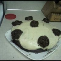 Triple Threat Chocolate Cake Disaster Looks terrible but it sure tasted yummy. I learned its not a good idea to pipe roses with duncan hines grocery store frosting.