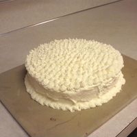 Carrot Cake I made this cake from a duncan hines carrot cake mix. Turned out super yummy and moist. It could use some raisins and nuts though. I used...