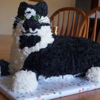 Oreo The Cat For DS 10th BD, milk choc cake, a replica of one of our 4 cats, did another one also in French Vanilla of another cat that is almost...