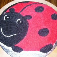 Ladybug Cake 