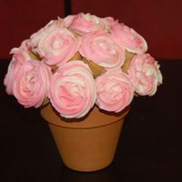 Mini Cupcake Bouquet 18 mini cupcakes in a 4 /2 inch clay pot.