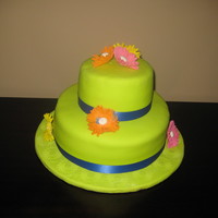 Lime Green Gerber Daisy 