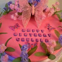 Butterfly Cake Here is a pic of the top