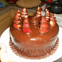 Chocolate Ganache chocolate cake with chocolate ganache. strawberry with choco swirl. TFL!