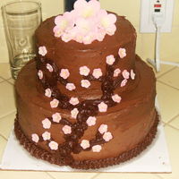 Cherry Blossom chocolate cake with chocolate frosting...gum paste flowers. Best frosting ive ever made...in a FOOD PROCESSOR!! who would have thought!
