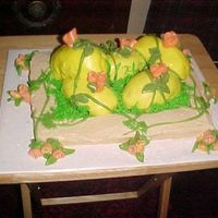 Easter Eggs I'm 13 and this is my first Easter cake. I used buttercream and buttercream fondant. Hope you like it.