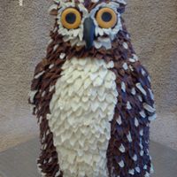 Brown Owl Chocolate cake with banana filling, covered in BC. The eyes and beak are fondant. I made this out of 2-6" rounds, half a ball and a...