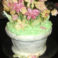 Flower Pot This is my first sculpted cake and also the first time using gum paste. I made the gum paste and I think maybe I need to perfect the recipe...