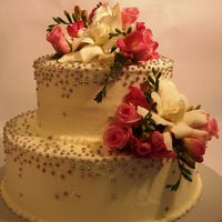 Draggees Decrescendo 