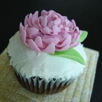 Pink Chrysanthemum Cupcake 
