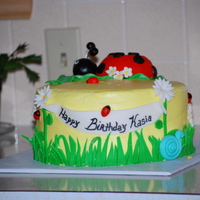 Lady Bug 1St Birthday Buttercream frosting with fondant accents. The lady bug is melted chocolate in a bowl (lined with buttered syran wrap for easy removal)....