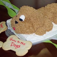 Puppy Cake Had to piece a few things together and guess the best I could, but the end result was pretty good. Carrot cake with cream cheese/...