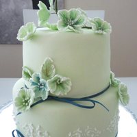 Brushed Embroidery Brushed embroidery with 3D flowers.