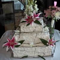 Wire Cage Wedding Cake This is a 3 tier square 8, 10, 14, messy iced in BC. Wire "cage" was made by the brides mother made to simulate willow wrapped...