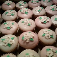 Its A Girl!!!!!!!!11 Cupcakes done for a friends baby shower. pink glaze with royal icing flowers