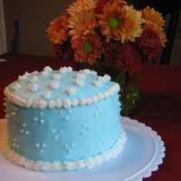 My Very First Practice Cake This is the first cake I've ever decorated, and it was just for practice. It's 6", two tiered, and french vanilla Duncan...