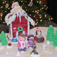 Charlie Brown Christmas First timer won bronze award and Best of Show in my category at a Gingerbread competition at local college with this entry. I'm hooked...