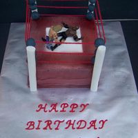Wrestlers Made this for my fiance's son for his birthday