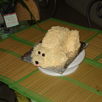 Birthday Cake Birthday Cake