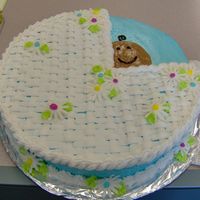 Baby Shower Cake wilton design baby shower cake for a boy