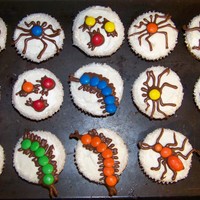 Bug Cupcakes Made these just for fun. They didn't stay around too long...