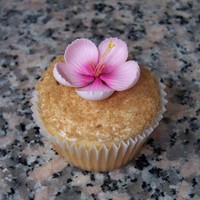 Wedding Shower Cupcakes These were made for a couple that will be getting married in Hawaii. Gumpaste flowers and the diamond is a Chocolate mold and MMF ring...
