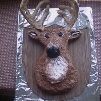 Deer Cake Carrott cake with cream cheese frosting.