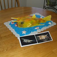 Longhorn Cowfish This is probably the weirdest cake I have ever made. My neighbor asked if I could create a cake like this for his wife since she was...