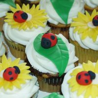 Lady Bug Cupcakes These were for some friends' daughter who LOVES ladybugs!!! Leaves, flowers, & ladybugs are out of fondant/ gumpaste. Cupcakes are...