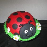 Ladybug Cake This was a cake for my daughter's first birthday. WASC covered in fondant. Head made from 50/50 fondant and gum paste.