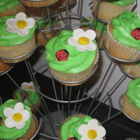 Ladybug Cupcakes Cupcakes were made to match my daughter's dress.