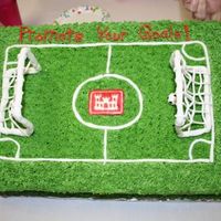 Soccer Field I made this cake for my bosses going away party. He is a soccer referee in his spare time. The cake is chocolate with mocha buttercream...