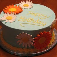 Gerger Daisy Birthday 