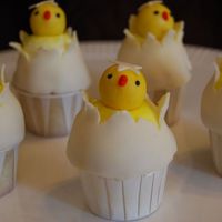 Hatched Chick made these cupcakes for DD's preschool easter party. Also made bunny ones but the kids liked these more.
