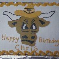 Texas Longhorns a special thank you to foolcrazy9 for the insperation to my cake.. all done with b.c no gumpaste here.