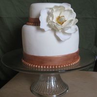 Bronze Elegance This cake was for my husband's niece - just a small cake for the second dinner they had. Almond cake with raspberry cream and vanilla...