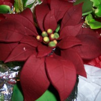 Poinsttia's Poinsettia Gumpaste made with free form leaves. These were dusted with a brick color and then steamed to set color. Made for a wedding cake...